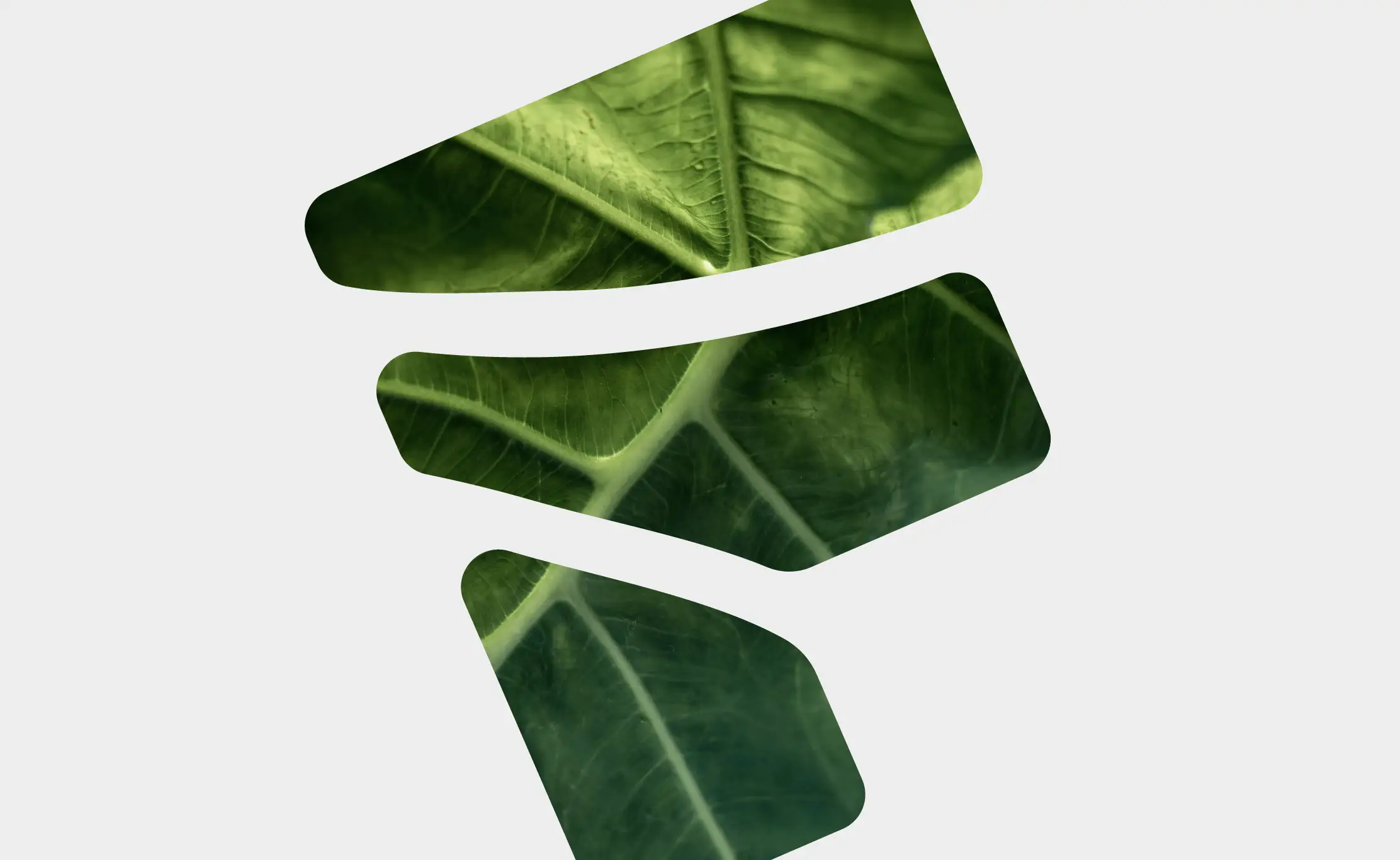 Transparant - AI for Good principe