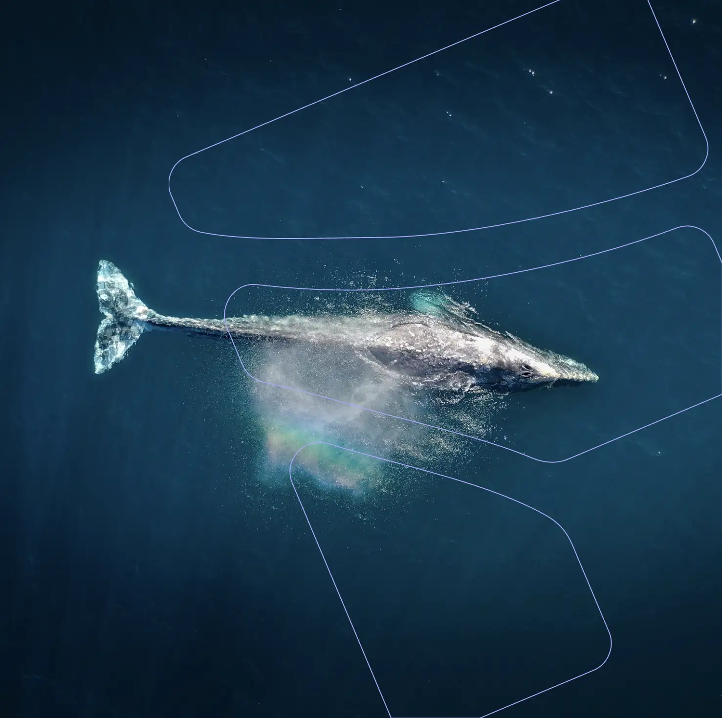 AI for Good - Onze visie